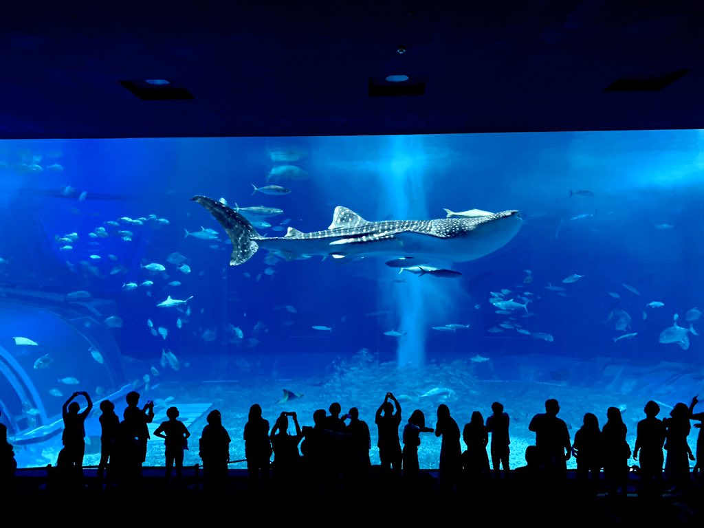 沖縄美ら海水族館