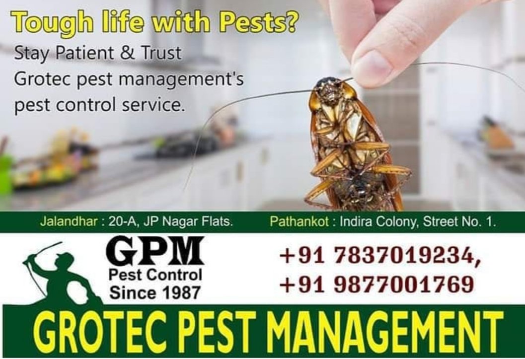 GrotecPest's tweet photo. https://t.co/MuYUNLvDRz