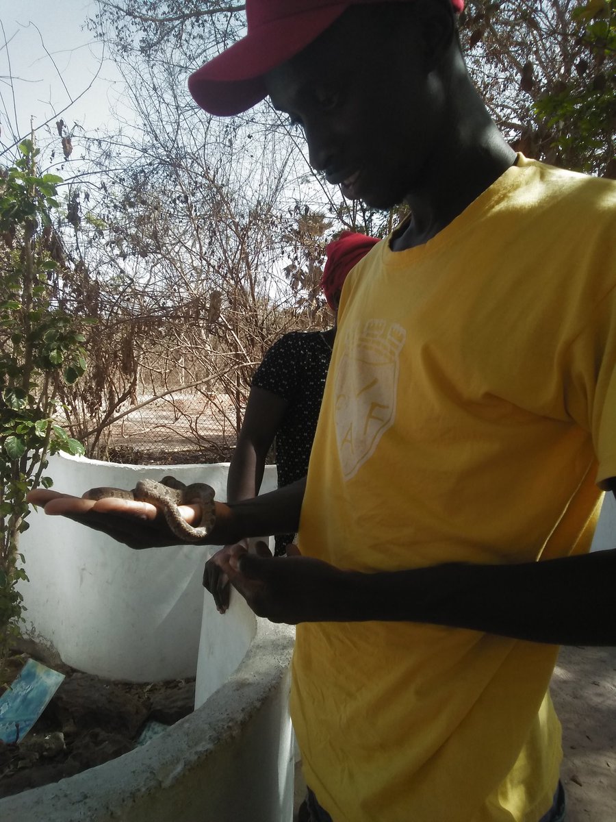 EbrimaConte's tweet image. 