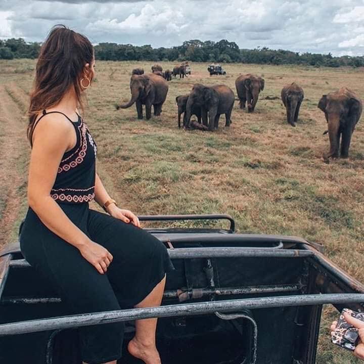 “Wild Elephant Safari”
Make memories worth a lifetime with Tubatravels. Explore are resplendent Island with a tailor made tours to suit ur needs
.
.
For more info about bookings email us to tubatravels11@gmail.com
Whatsapp +94 777299850
.
.
#srilanka #elephantsafari #Tubetravels