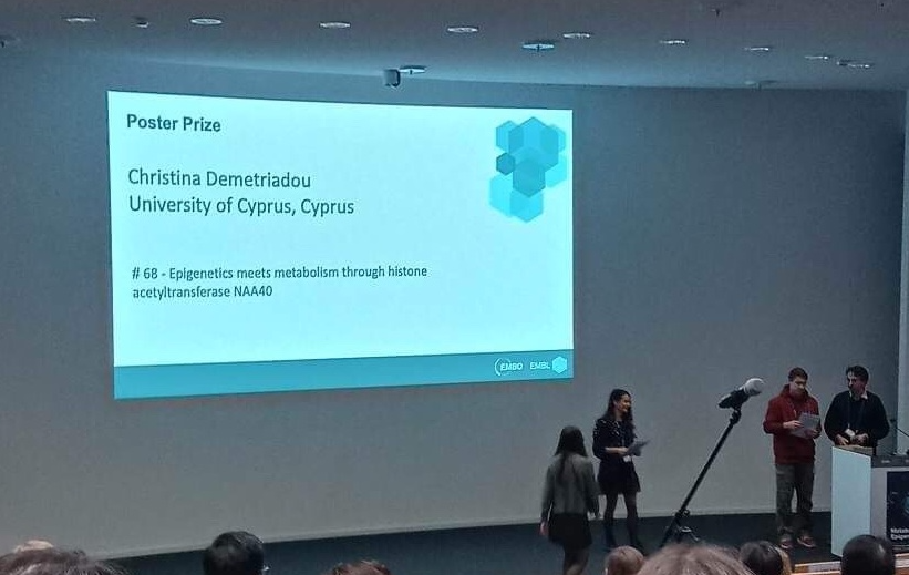 Kirmizis Lab tweet media