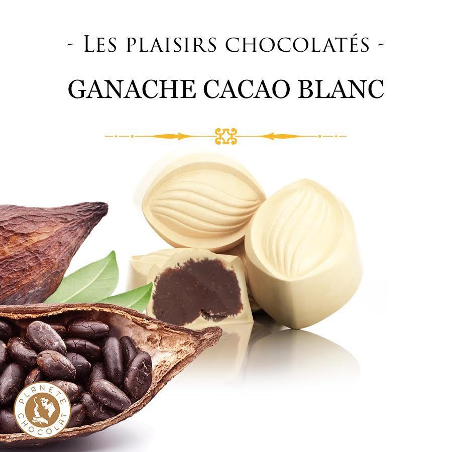 Planète Chocolat tweet media