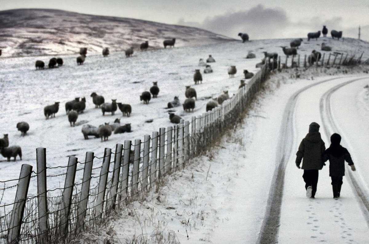 ‘Dreich’ is the braw Scots word that rains supreme. The winner by an avalanche for the title of lingo-with-the-most-words-for-snow is ... drum roll ... Scots. According to researchers at the University of Glasgow, Scots has 421 words for snow. bit.ly/2pMzbWZ