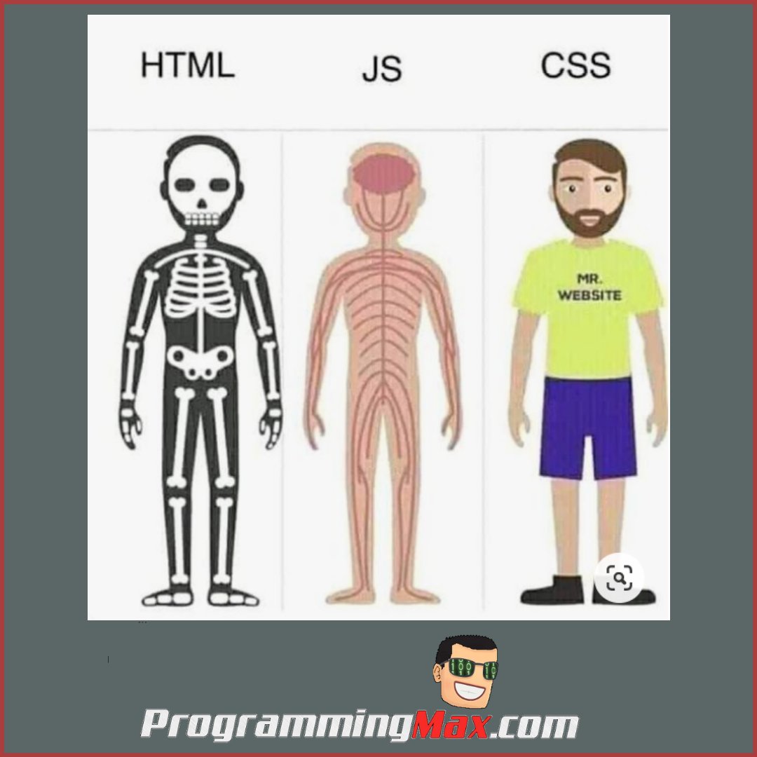 ProgrammingMax1's tweet image. #programming joke of today.  #html #js #css
