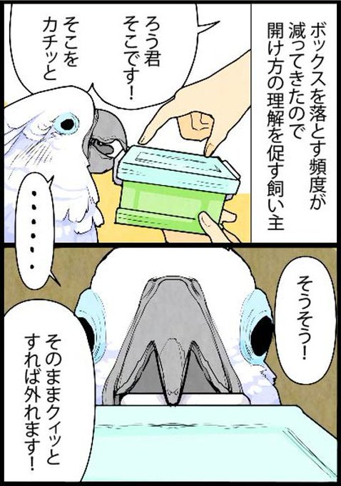 クチバシのtwitterイラスト検索結果 クチバシのtwitterイラスト検索結果