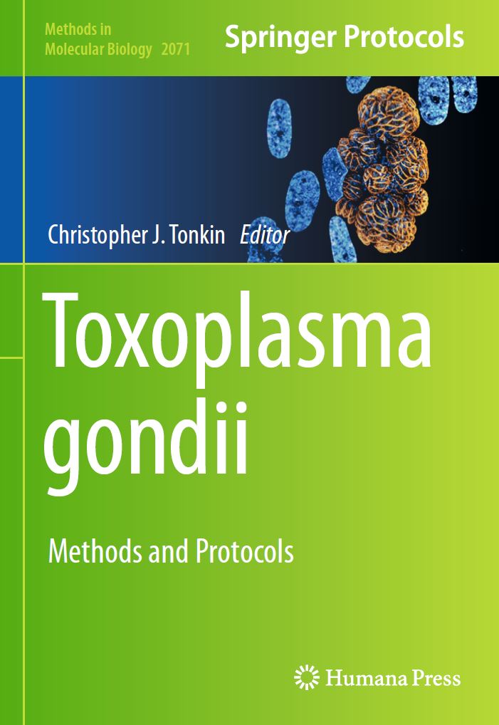 TardieuXlab's tweet photo. Thanks @drchristonkin for this nicely informative achievement!!! DOI 10.1007/978-1-4939-9857-9
#toxoplasma #livemicroscopy #imageanalysis https://t.co/WxqjjxgweT
