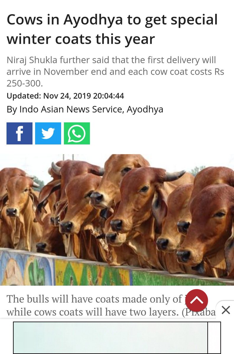 epipyama's tweet photo. Win win news sir @varungrover https://t.co/WKUSY7DV3k