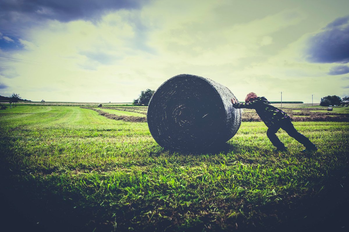 Meld je aan voor de 3-jarige praktijktraining Bodem &amp; Koe. En werk aan de ontwikkeling en het behoud van een gezonde bodem op je eigen bedrijf. De training bestaat uit 15 groepsbijeenkomsten en 12 individuele adviesuren op je bedrijf. vitalebodembrabant.nl/zelf_aan_de_sl…