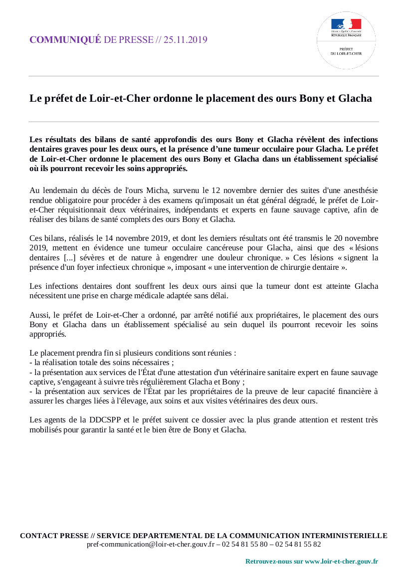 Prefet41's tweet photo. Les résultats des bilans de santé des 2 🐻 révèlent des infections dentaires graves pour Bony &amp; Glacha, et la présence d'une tumeur occulaire chez Glacha. 
▶️ Le @Prefet41 ordonne le placement des ours dans un établissement spécialisé où ils recevront des soins. 

#LoirEtCher https://t.co/zinYrMWPEF