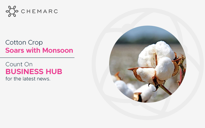chem_arc's tweet photo. The future for the #textile manufacturing sector looks promising with a good #cotton yield this year. With #Chemarc, stay up-to-date with the textile industry. To know more, visit: https://t.co/PhdBREqTGG
#ChemicalIndustry #GrowDigital #BusinessHub #DigitalChemarc https://t.co/CWWJf9r01y