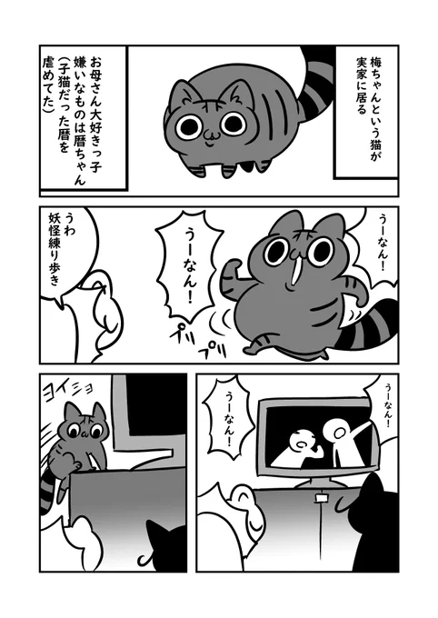 猫漫画 実家の梅ちゃんは妖怪じみてる猫 #ぬら次郎日記 