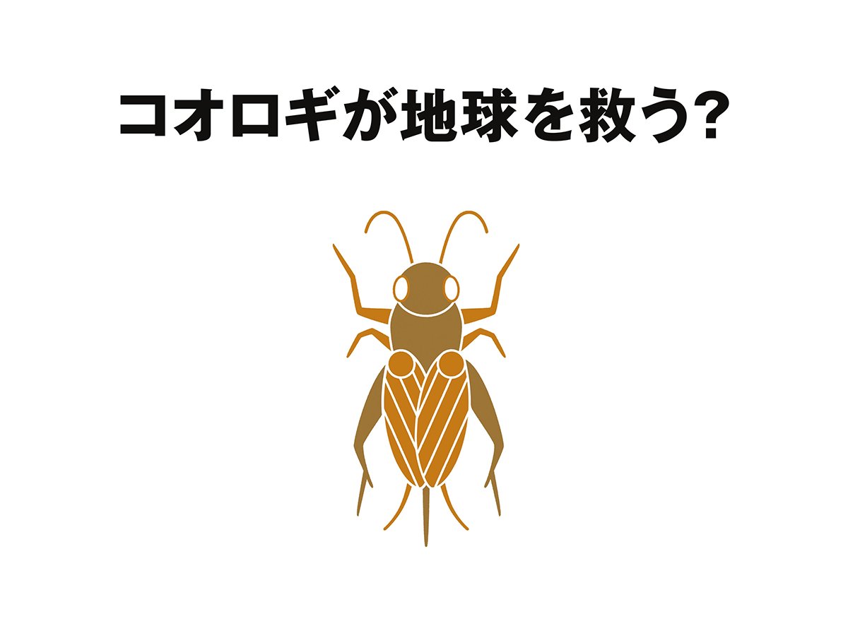 Grape Japan Eating Crickets To Save The World Japanese Brand Muji S Insect Filled Crackers To Scurry Onto Shelves Next Year T Co oqwwqgtt Muji Mushi Cricket Crackers T Co Ds2omubj0c