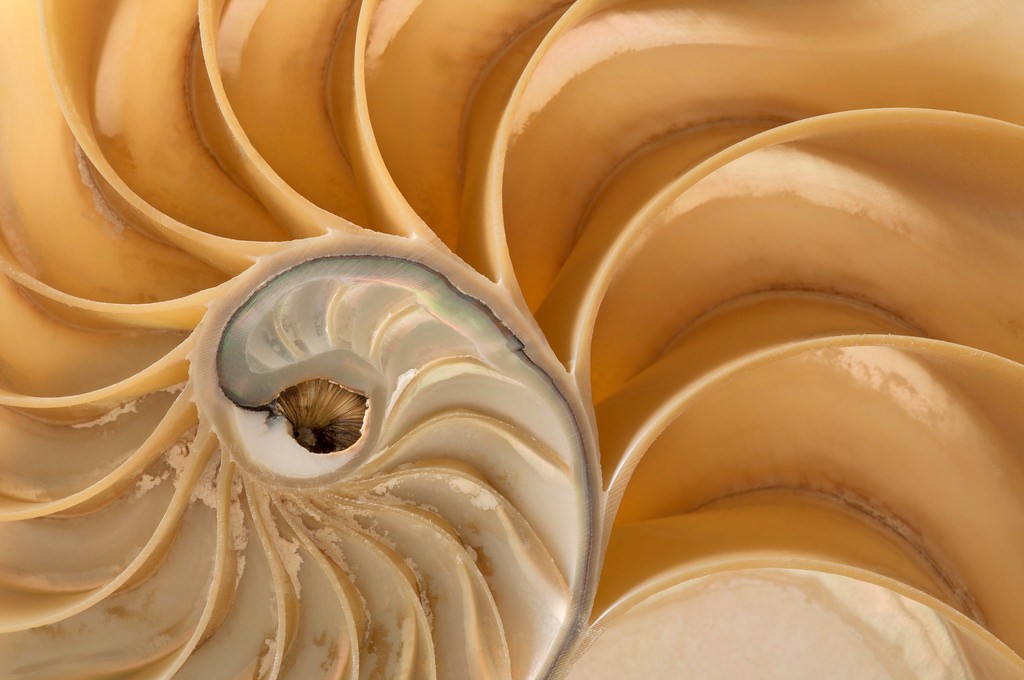 mousehole school tweet media