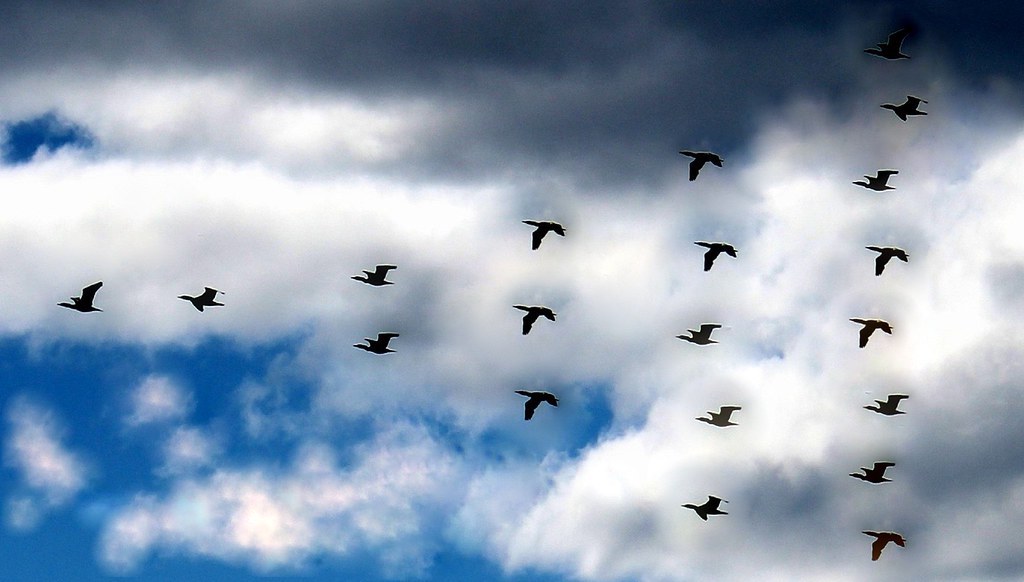 mousehole school tweet media