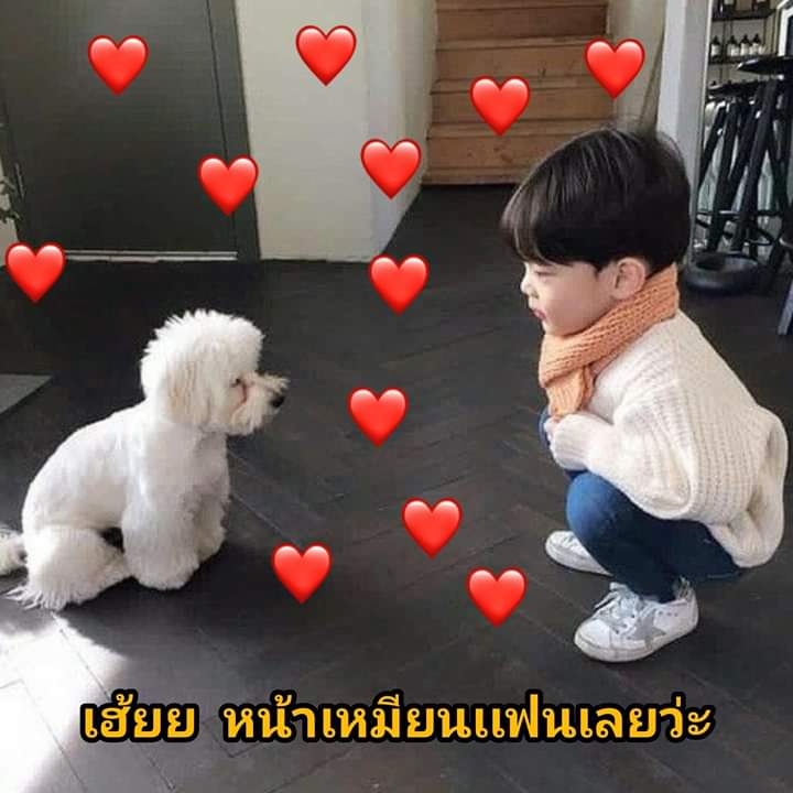 Ap_yanisa tweet media