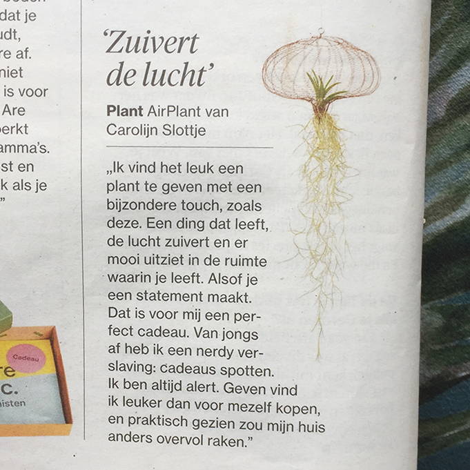 Afgelopen weekend stond Milledoni’s Federica in het AD.nl 📰 o.a. met de Air Planten van @StudioCarlijnSlottje🌿☁️ Een geweldig cadeau voor iemand die houdt van bijzondere spullen én voor iemand die geen groene vingers heeft 😉🎁
milledoni.nl/cadeau/air-pla…