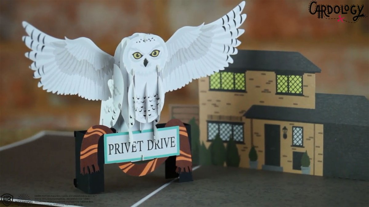 BigBlastDesign's tweet image. Look at this cool Harry Potter #Hedwig popup card! Wow!

youtu.be/EkqvxfhgJaU 

#harrypotter