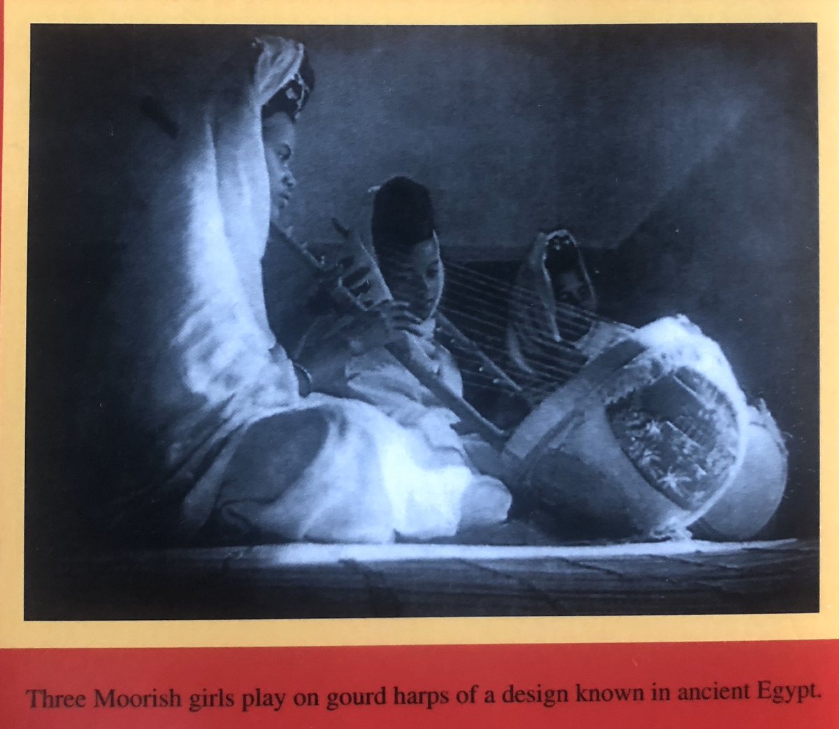 The Afrikans (Moors) didn’t only lift Europe out of the Dark Ages through Literacy &Arts (Classical Music   is Afrikan) Renaissance but also introduced the Scientific Renaissance. The Spanish translated the manuscripts from which your Science textbooks have been written.