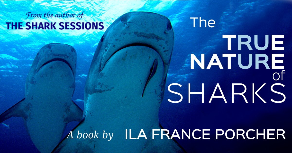IlaFrance's tweet photo. We've heard the hype, but what are #sharks really like? The True Nature of Sharks provides surprising answers from the field of #Ethology.
#SharkScience #Book #SharkBehavior
https://t.co/xsH7kS3Deb
https://t.co/lVIqUGWavK