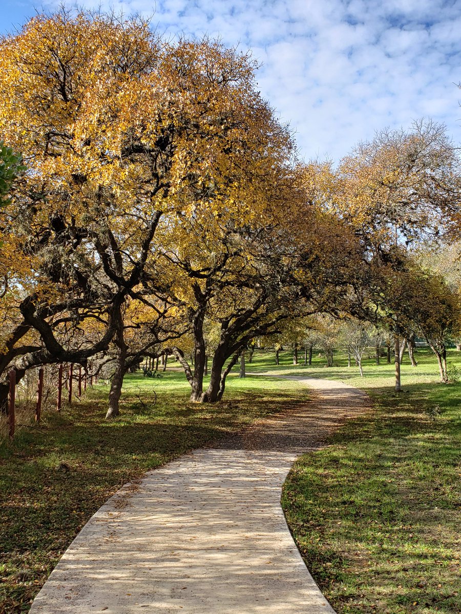 dee_mazurek's tweet image. Colors this fall are amazing!!