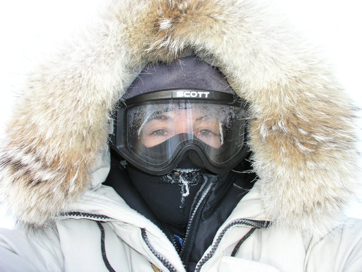 Julienne Streove image