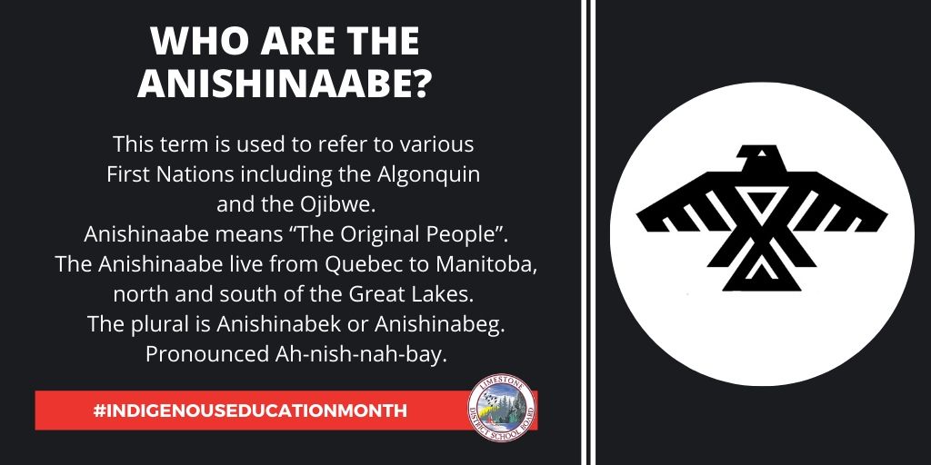 LimestoneDSB's tweet photo. LDSB is situated on the traditional territories of the Anishinaabe and Haudenosaunee. We acknowledge their enduring presence on this land, as well as the presence of Métis, Inuit &amp; other First Nations from across Turtle Island. #IndigenousEducationMonth https://t.co/QitVPQSoAo