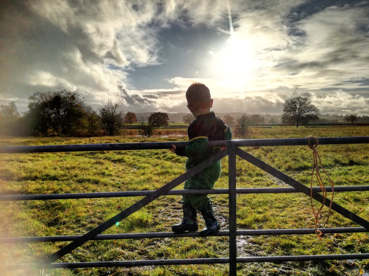 NatashaBaker28's tweet photo. I will climb the gate and I will climb it all by myself and I most definitely will stop to take in the view #2goingon20 @FarmersGuardian @FarmersWeekly @CAupdates @BBCCountryfile https://t.co/lge8FuZhtx