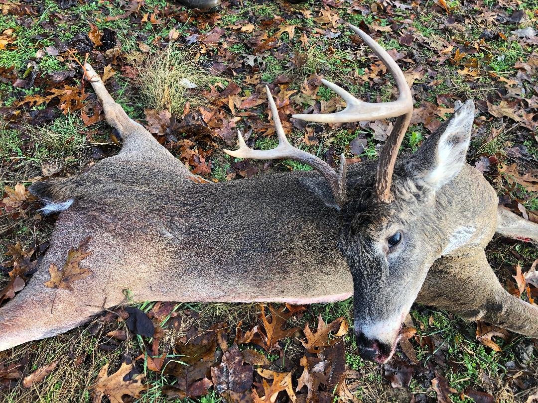 yguy49's tweet image. My last day to hunt in Kentucky finally paid off.  #Venison_in_the_freezer #tagpunched
@MossyOakPro @MossyOak @TheVanceStore @CanAm