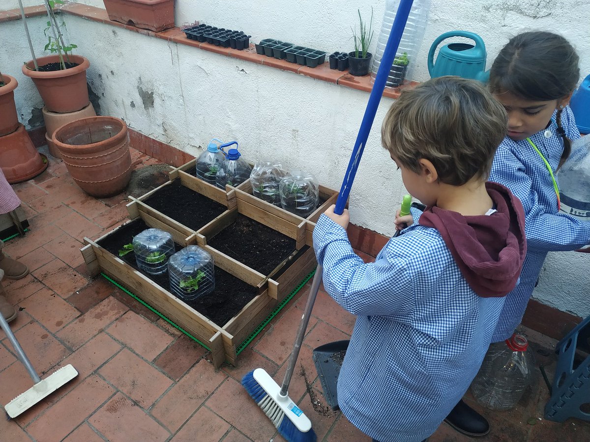 LauraMiCa3's tweet photo. El nostre hortet de 2n va creixent! Malgrat les dificultats que trobem, sempre tenim bones idees per a resoldre-les! Ara hem fabricat uns súper hivernacles pel fred i els llimacs que han aparegut! #hort #escola #2nprimaria @escolaminguella https://t.co/aPdl5X28J3