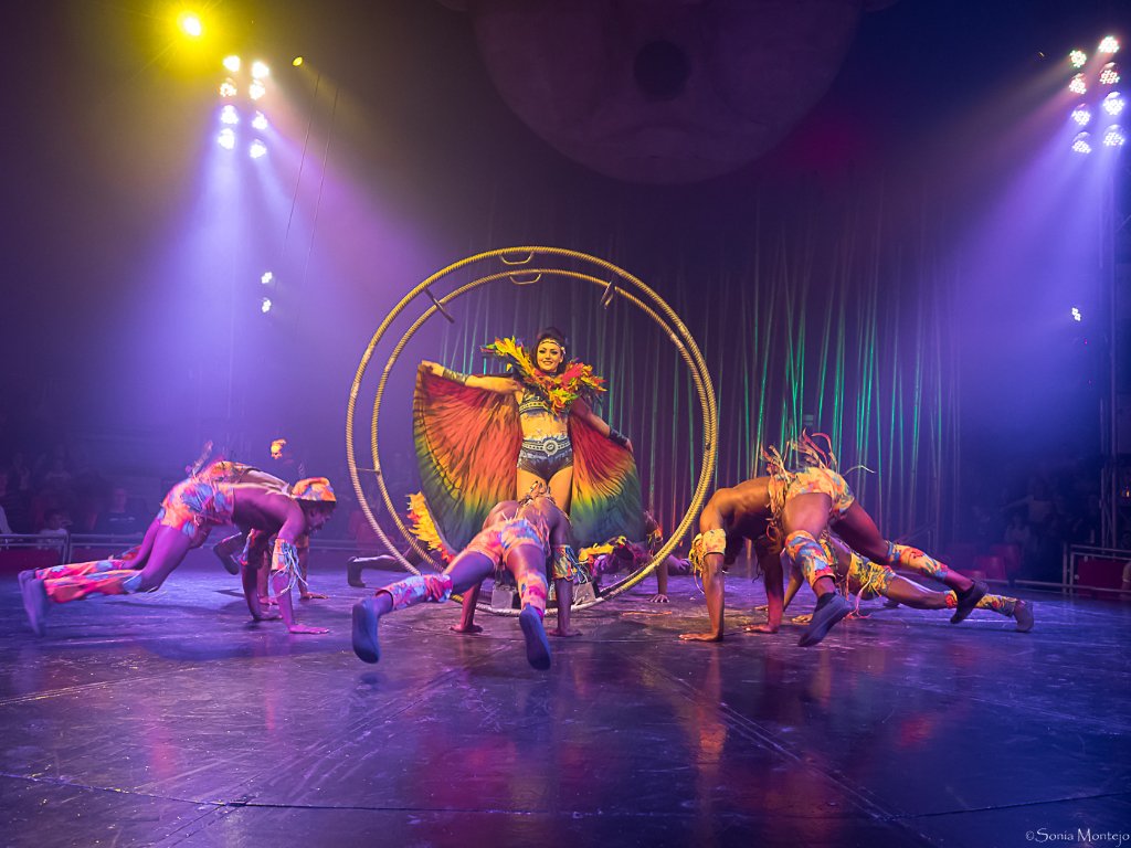 Il Circo Italiano Ilcircoitaliano Twitter
