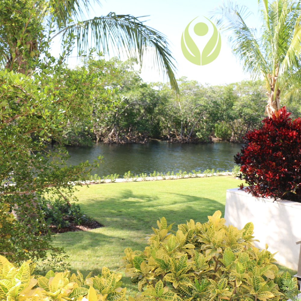 Somos especialistas en crear ese jardín que quieres, para que puedas disfrutarlo con amigos y en familia, logrando que tu casa sea TU HOGAR.
Llámanos por una consulta 📲 +1 305.803.6480

#jardin #hogar #especialistas #proyecto #green #greenwalls #teamgreen #Miami