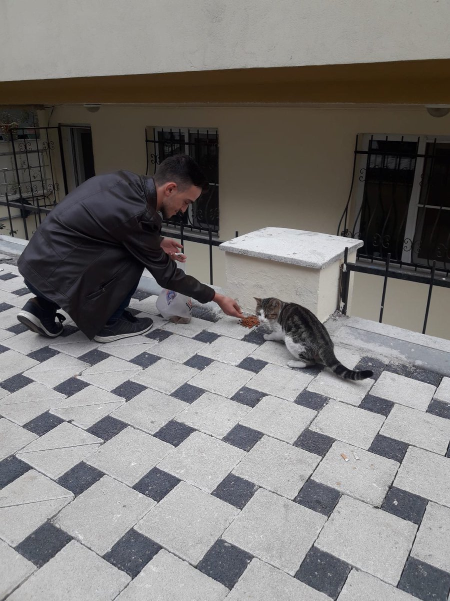 Mutlu patiler projemiz ile sokaktaki dostalarımızı aç bırakmadık🤗🎈