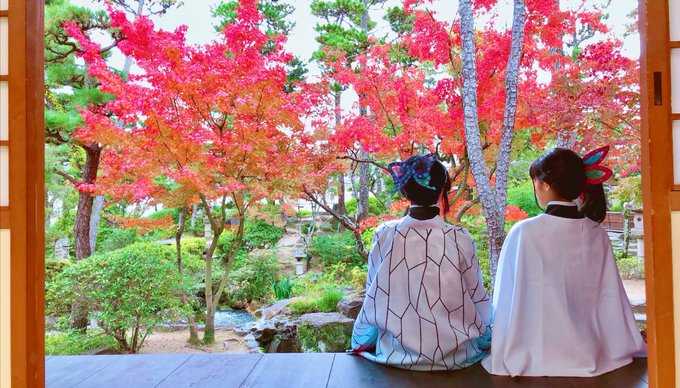 コスプレイヤー葵已ねむのTwitter画像21