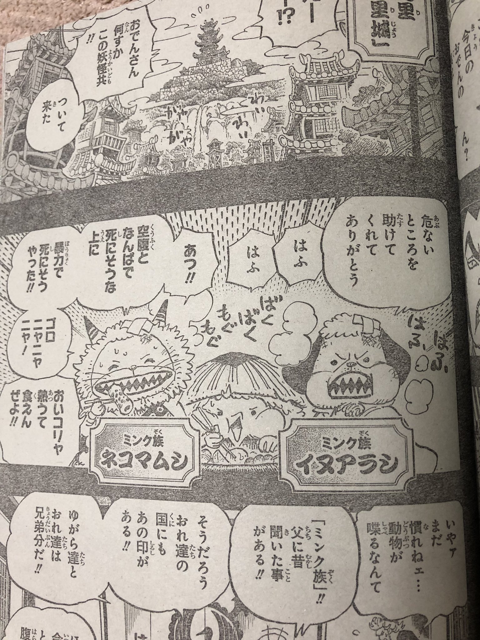 Terry イヌアラシとネコマムシかわいい T Co 1hllbfnwbu Twitter