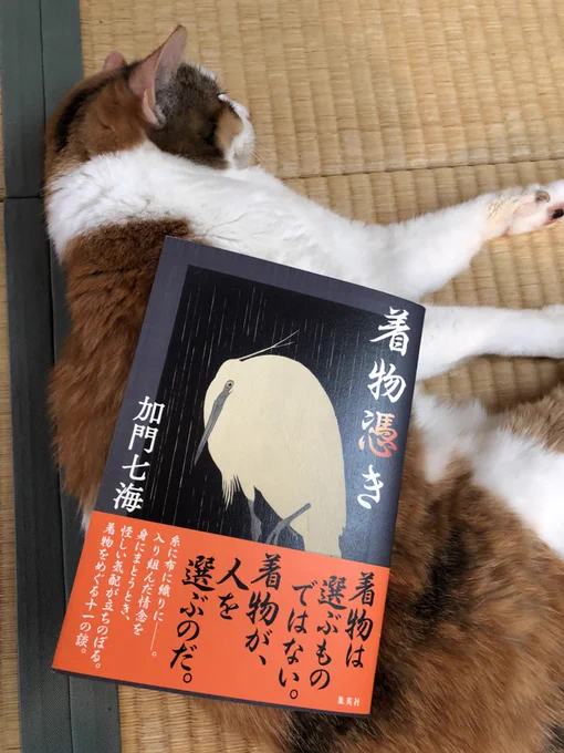 加門七海先生の新刊いただきましたー。
着物好きと怪談好きが融合したようなタイトル。中身もそんなよ。(≧∀≦)  着物好き怪談好きの人はぜひぜひ。
表紙の絵が小原古邨ですてき。
猫は本の台に徹している。 