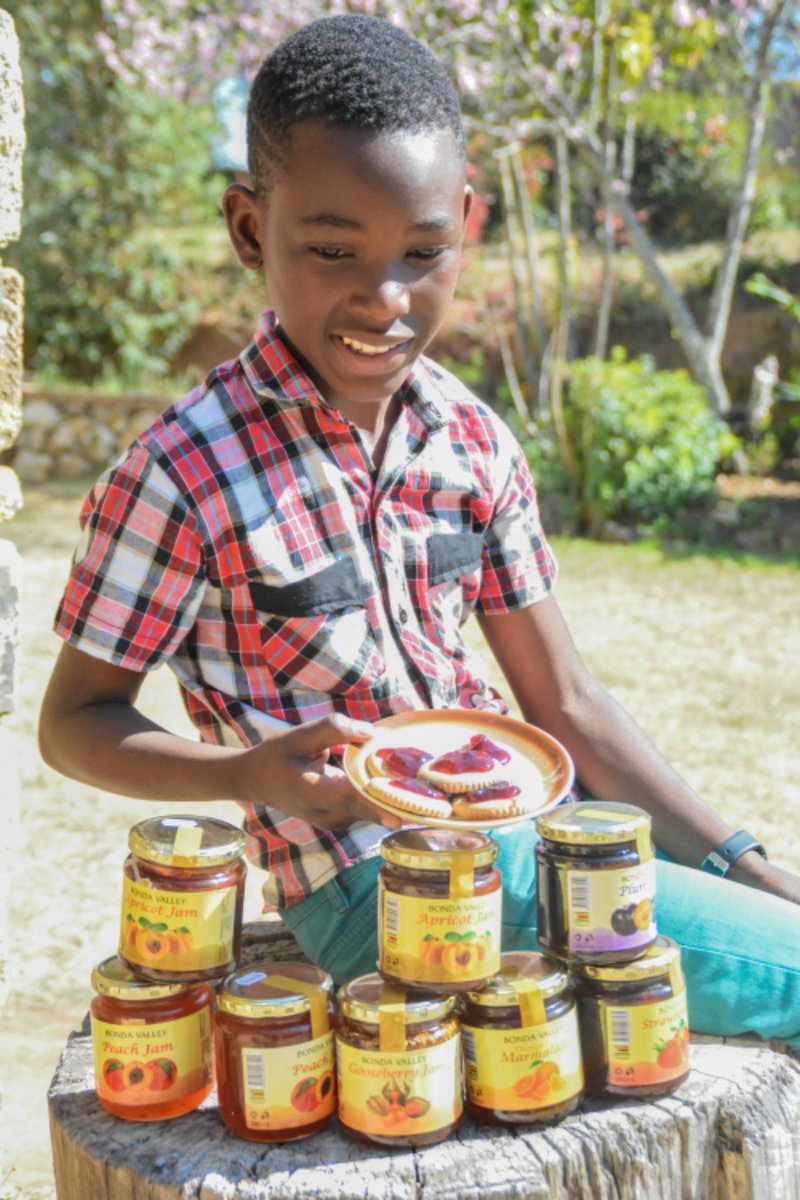 Masimikecamp's tweet photo. THE STORY CONTINUES

Gooseberries can do a great thing. Kozani Resources at Bonda Mission is one success story. Are you interested in agric stories....here is a place to visit on your next trip to Nyanga/Honde Valley.

@ZwE_Highlands @wasudigital https://t.co/abXGNMO3Ut
