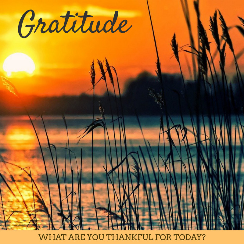 OreckOf's tweet photo. Thankfulness is the beginning of gratitude. Gratitude is the completion of thankfulness. Thankfulness may consist merely of words. Gratitude is shown in acts.– Henri Frederic Amiel

 #Ankeny #DesMoines #gratitude #Iowa #thankfulness #OreckCleanHomeCenters https://t.co/bjsAL1GMCT