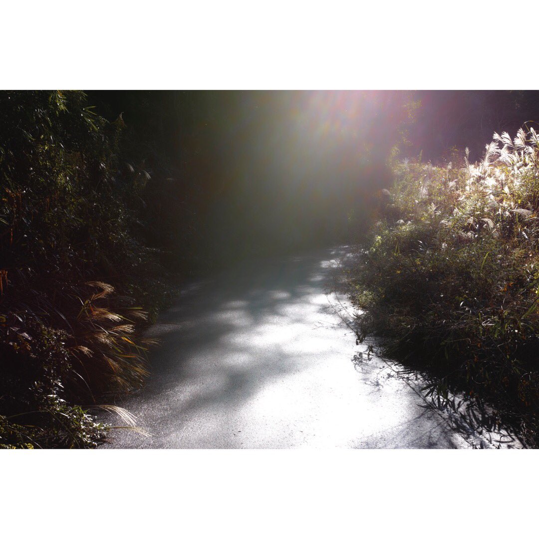 Miroku0310Rose's tweet image. 三日月は三角に笑ってた
#三日月は三角に笑ってた
#dpmerrill