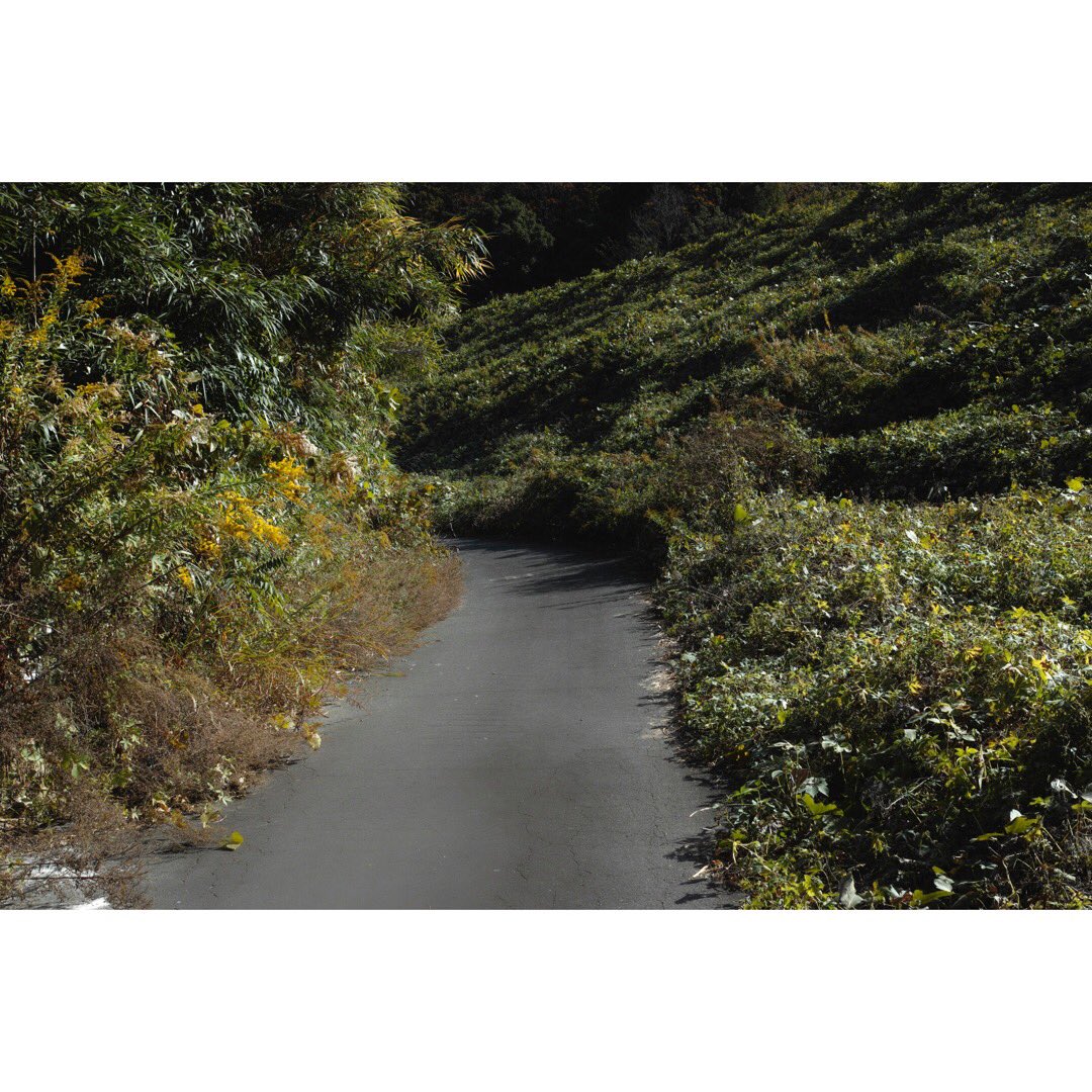 Miroku0310Rose's tweet image. 三日月は三角に笑ってた
#三日月は三角に笑ってた
#dpmerrill