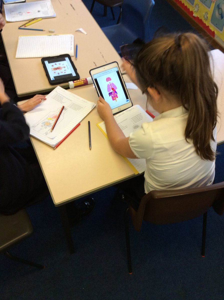 blaenbaglanclar's tweet photo. We are finding out where our internal organs are inside our bodies and what they do. We are using iPads to help us research. https://t.co/grGMQync7R