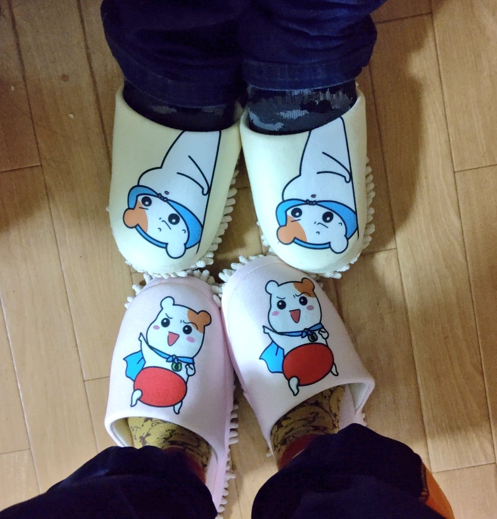 やぁ 衝動買い お揃いで買ってしまったwww 知ってる人は知ってる名 迷 作 W おるすばんエビちゅ エビちゅ お揃い スリッパ R指定では無いらしいw