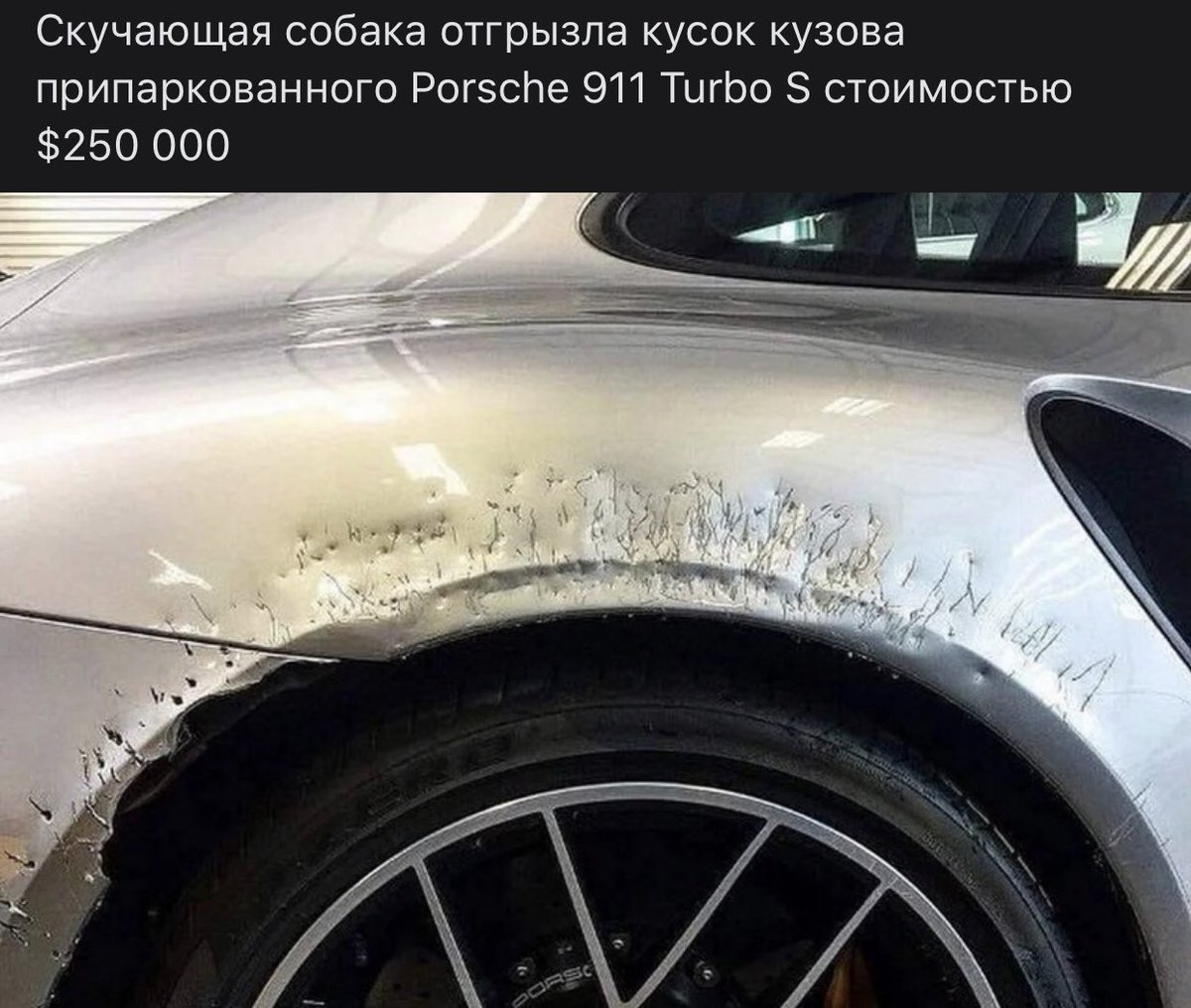 M2010P's tweet photo. Как тебе такое,  @wylsacom ? https://t.co/jBdwjzTQyL