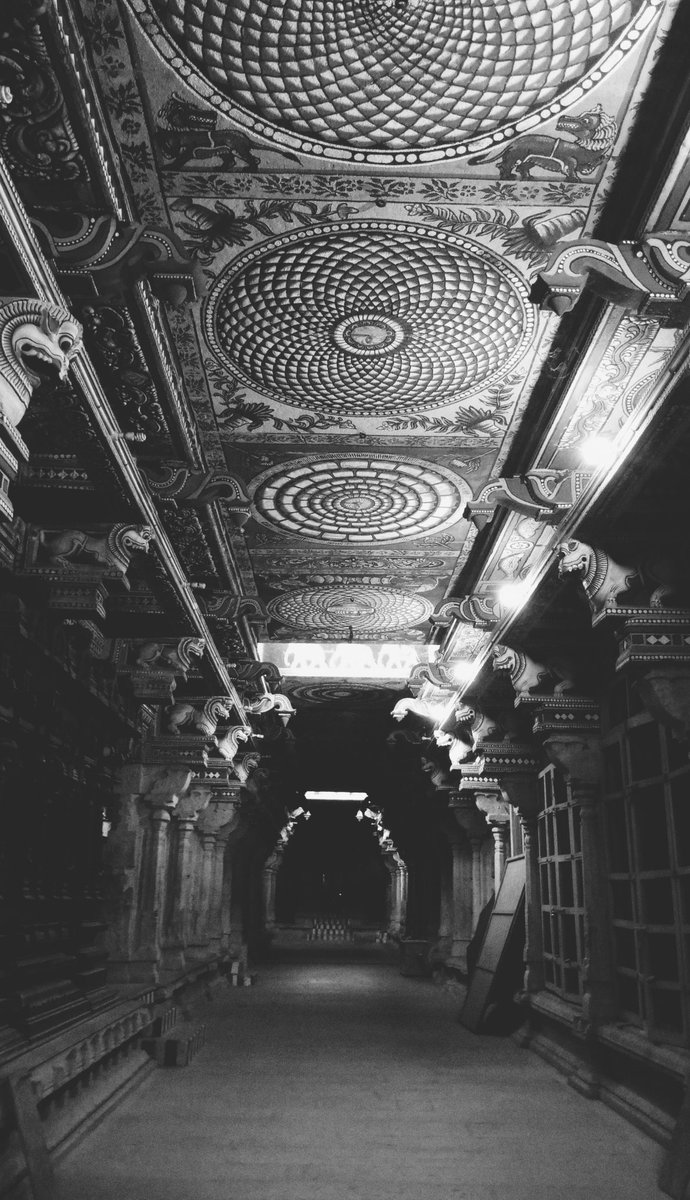 vpvoldemort's tweet photo. Noir #Mobshots #Vpvolt https://t.co/JKdYUhp96X