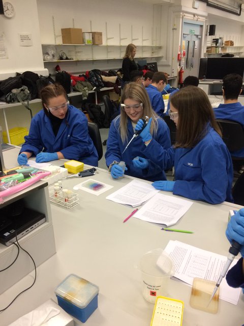 HazleheadBio's tweet photo. Our Advanced Higher Biologists gained some value practical experience @aberdeenuni today 👨‍🔬👩‍🔬 https://t.co/CimTQaSnwU