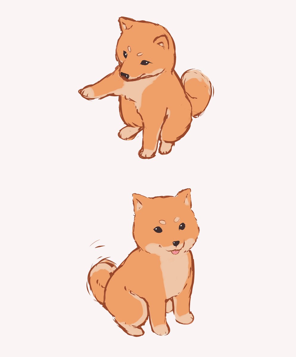 shiba doodle
