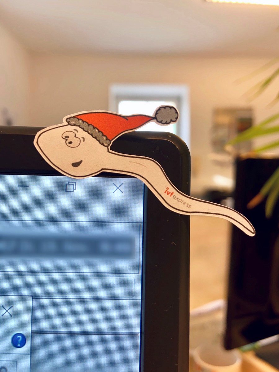 IVF_Express's tweet image. Christmas mood has officially arrived at the office! We present our #IVFexpress-Spermy 😂 #funatwork #IVF