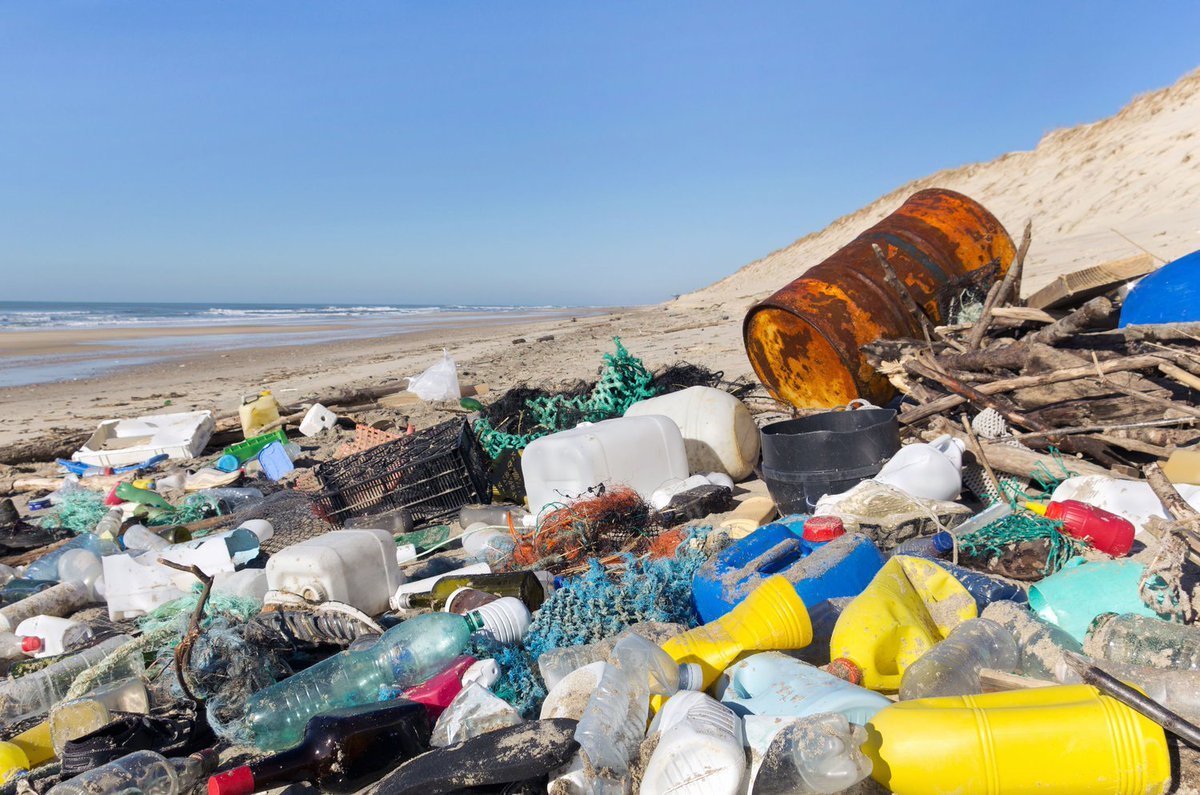 Renew Our Ocean (@OceanRenew) / Posts / X