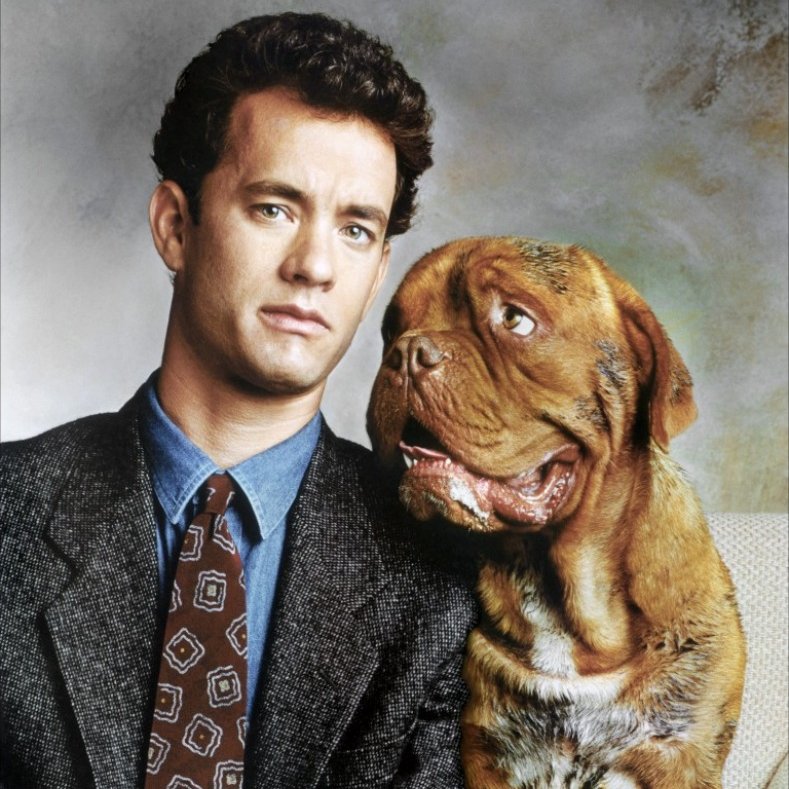 BRAND NEW EPISODE! We celebrated Hanksgiving by finally watching TURNER &amp; HOOCH! Chaos ensues! 😬😂 #TomHanks #FilmTwitter #PodernFamily 

🎧 Listen now: linktr.ee/moviegeekcast