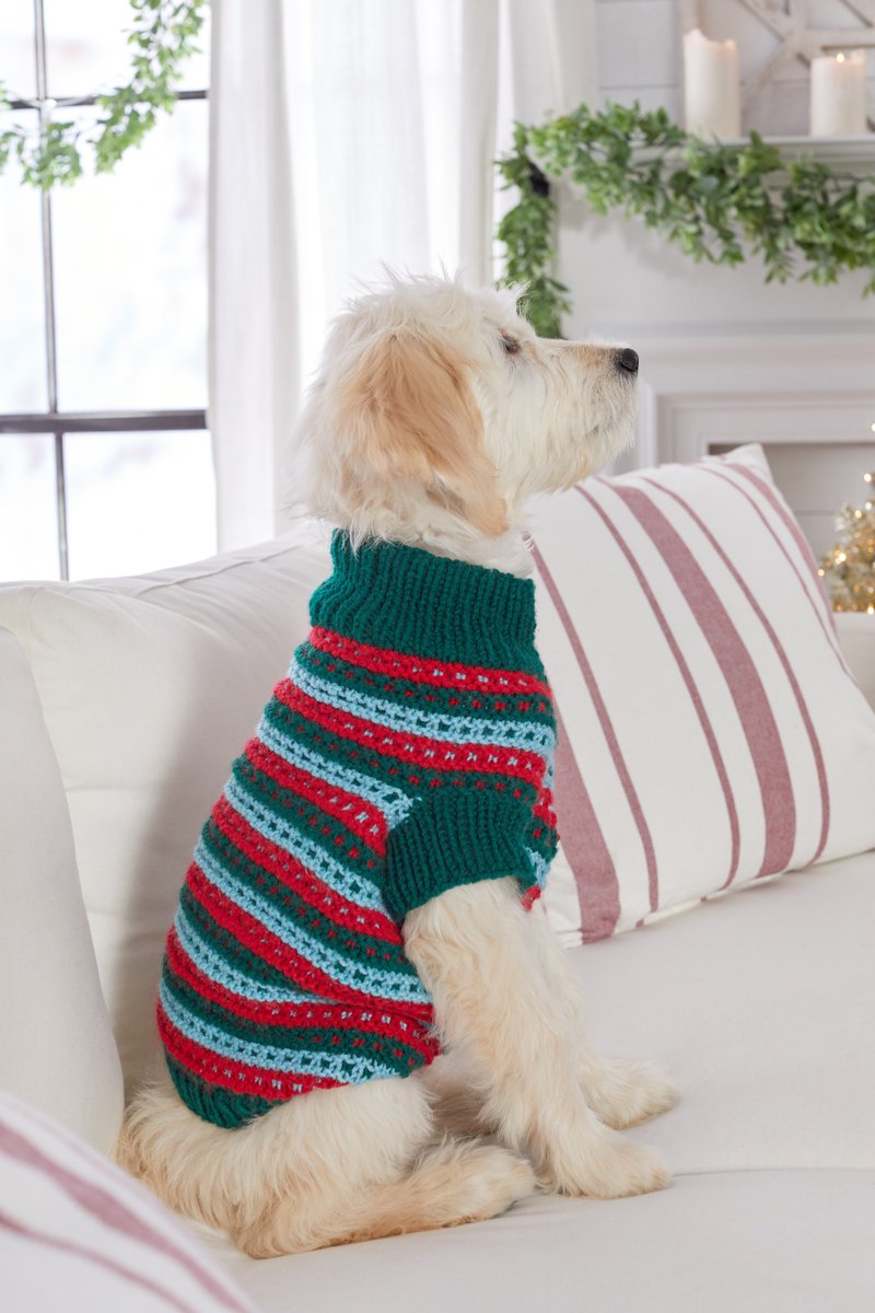 RedHeartYarns's tweet photo. Someone's ready for the holidays! Work up this #dogswetaer so even your fluffy can be festive. Download the #freeknitpattern: https://t.co/RBo9JKtVlu https://t.co/gP9XYYC7Gv