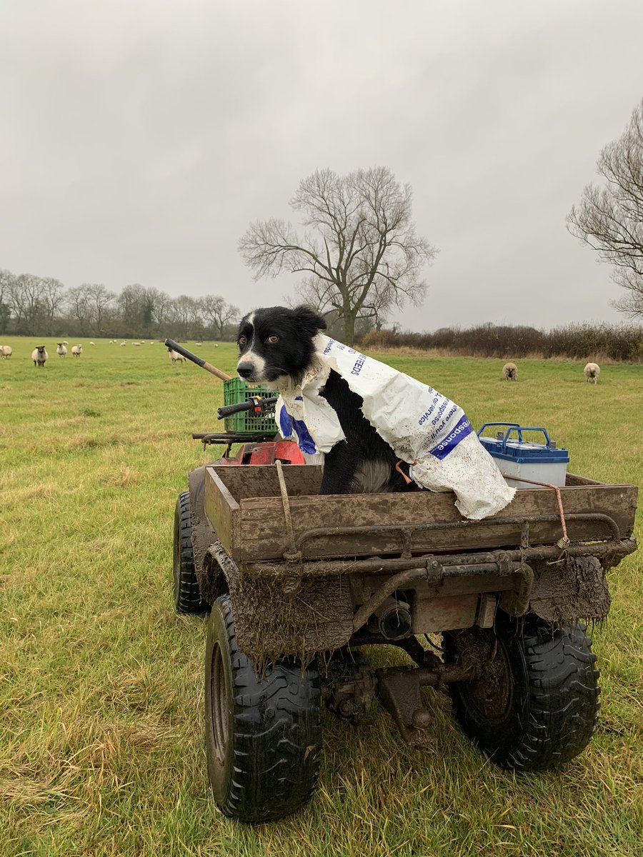 Matthew Tasker (@mytweetinplaces) | Twitter